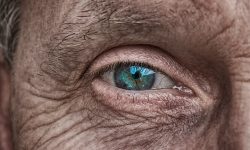 Scientists Identify New Treatment Target for Leading Cause of Blindness